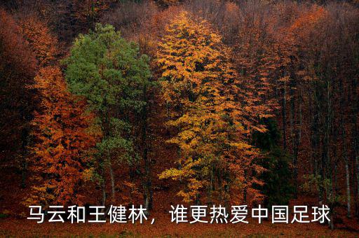 馬云和王健林，誰更熱愛中國足球