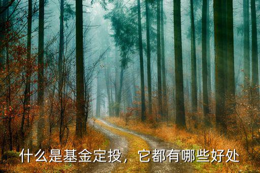 什么是基金定投，它都有哪些好處