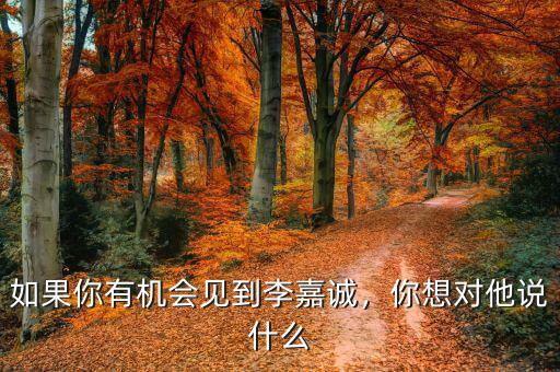 如果你有機(jī)會(huì)見(jiàn)到李嘉誠(chéng)，你想對(duì)他說(shuō)什么