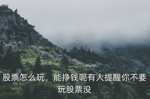 股票怎么玩，能掙錢呢有人提醒你不要玩股票沒