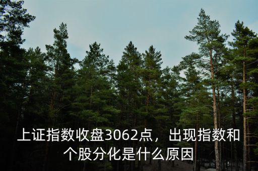 上證指數(shù)收盤3062點(diǎn)，出現(xiàn)指數(shù)和個股分化是什么原因