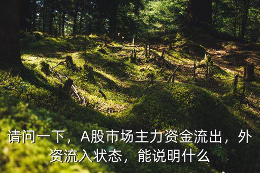 請問一下，A股市場主力資金流出，外資流入狀態(tài)，能說明什么