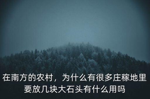 在南方的農(nóng)村，為什么有很多莊稼地里要放幾塊大石頭有什么用嗎