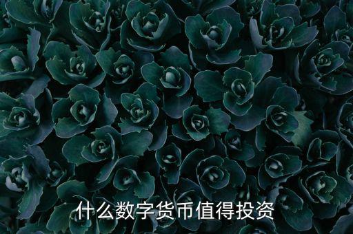 什么數字貨幣值得投資