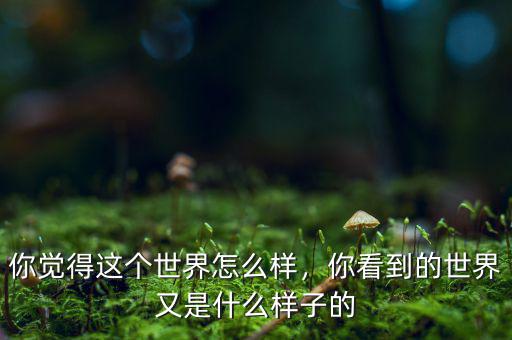 你覺得這個世界怎么樣，你看到的世界又是什么樣子的