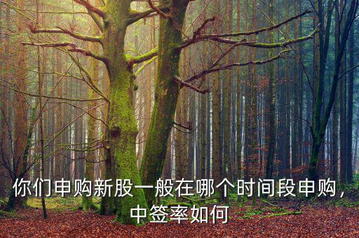 你們申購(gòu)新股一般在哪個(gè)時(shí)間段申購(gòu)，中簽率如何