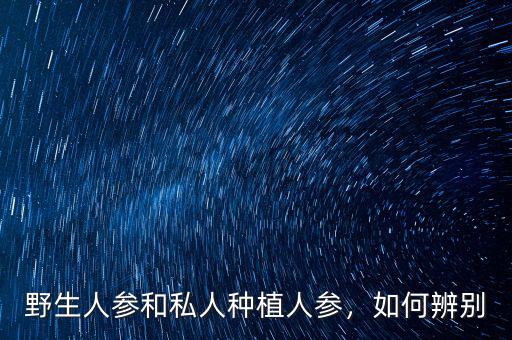 野生人參和私人種植人參，如何辨別