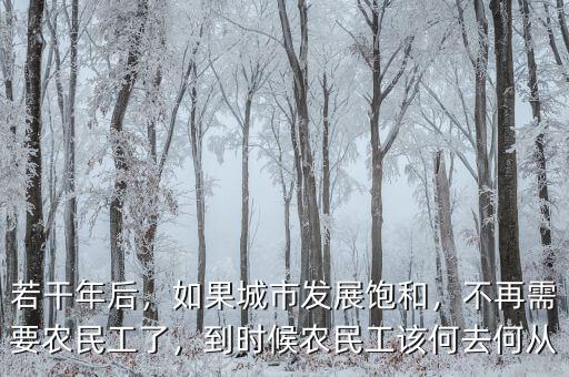 若干年后，如果城市發(fā)展飽和，不再需要農(nóng)民工了，到時(shí)候農(nóng)民工該何去何從