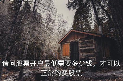 請問股票開戶最低需要多少錢，才可以正常購買股票