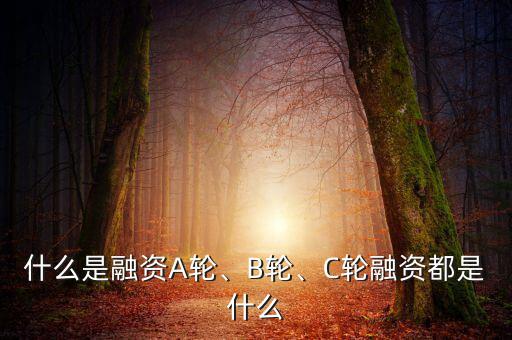 什么是融資A輪、B輪、C輪融資都是什么