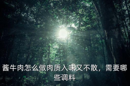 醬牛肉怎么做肉質(zhì)入味又不散，需要哪些調(diào)料