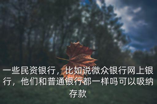 一些民資銀行，比如說(shuō)微眾銀行網(wǎng)上銀行，他們和普通銀行都一樣嗎可以吸納存款