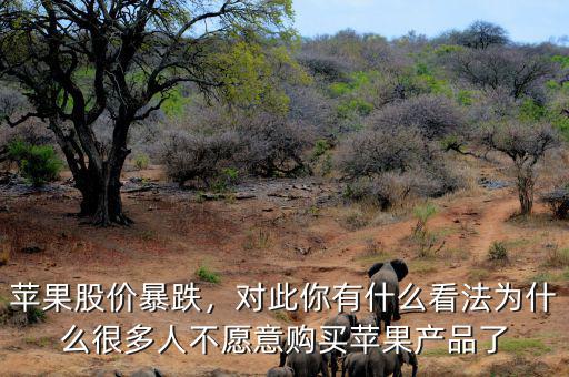 蘋果股價暴跌，對此你有什么看法為什么很多人不愿意購買蘋果產(chǎn)品了
