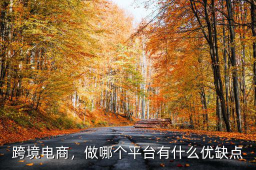 跨境電商，做哪個平臺有什么優(yōu)缺點(diǎn)