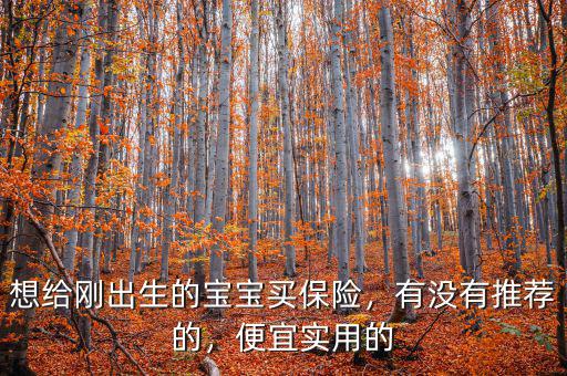 想給剛出生的寶寶買保險(xiǎn)，有沒有推薦的，便宜實(shí)用的