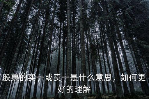 股票的買一或賣一是什么意思，如何更好的理解