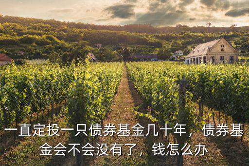 一直定投一只債券基金幾十年，債券基金會不會沒有了，錢怎么辦
