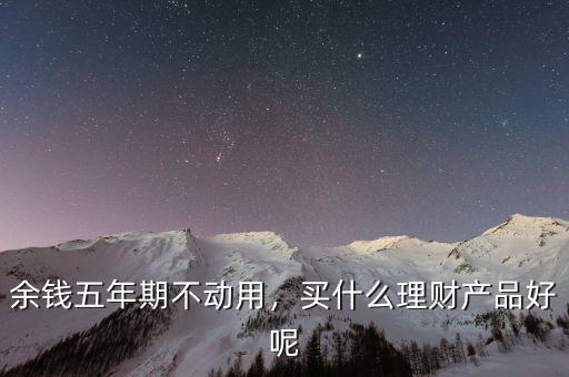 余錢五年期不動(dòng)用，買什么理財(cái)產(chǎn)品好呢