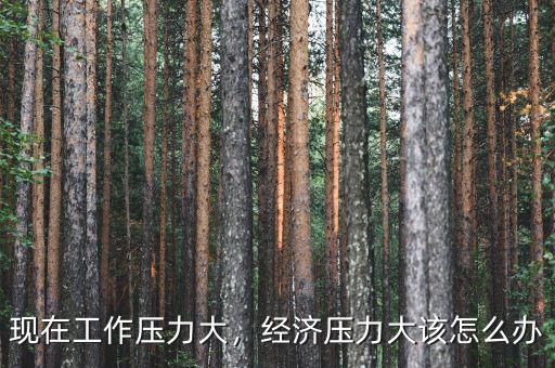 現(xiàn)在工作壓力大，經(jīng)濟壓力大該怎么辦