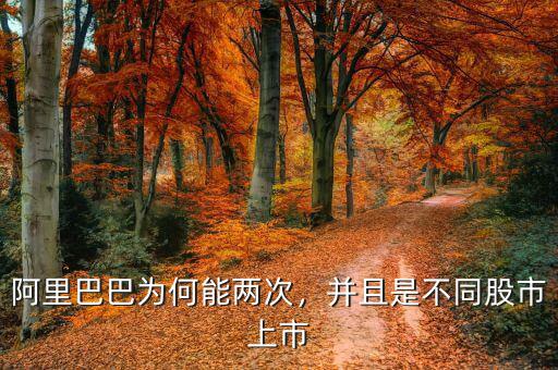 阿里巴巴為何能兩次，并且是不同股市上市