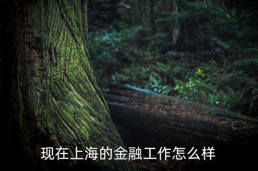 上海互信金融怎么樣,上海立信會(huì)計(jì)金融學(xué)院怎么樣