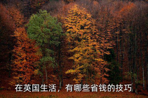 在英國(guó)生活，有哪些省錢(qián)的技巧