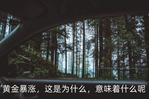 黃金暴漲，這是為什么，意味著什么呢