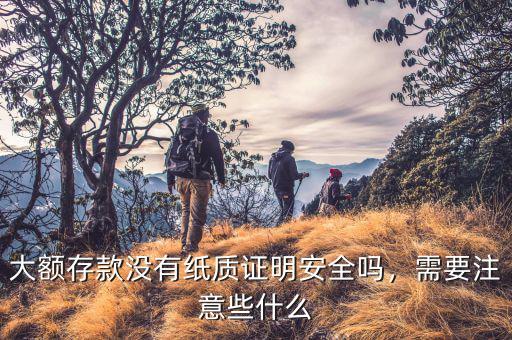 大額存款沒有紙質(zhì)證明安全嗎，需要注意些什么
