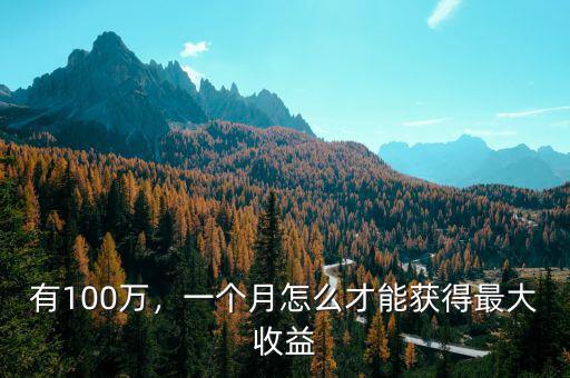 有100萬，一個月怎么才能獲得最大收益