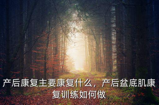 產(chǎn)后康復(fù)主要康復(fù)什么，產(chǎn)后盆底肌康復(fù)訓(xùn)練如何做