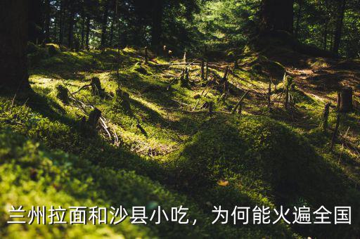 蘭州拉面和沙縣小吃，為何能火遍全國