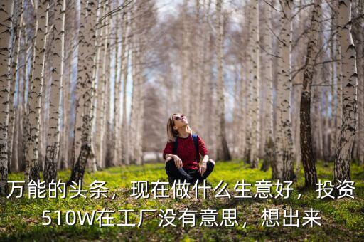 萬能的頭條，現(xiàn)在做什么生意好，投資510W在工廠沒有意思，想出來
