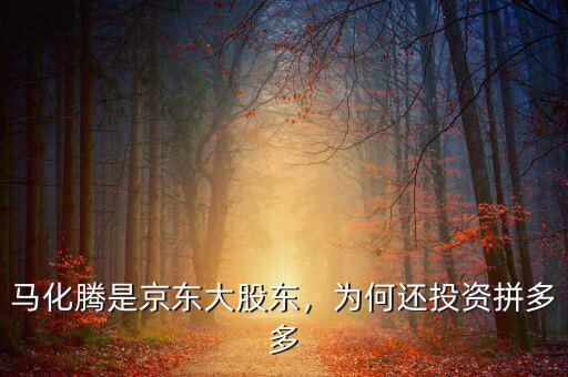 馬化騰是京東大股東，為何還投資拼多多