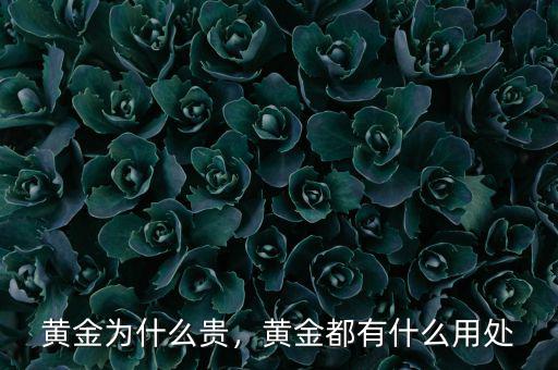 黃金為什么貴，黃金都有什么用處