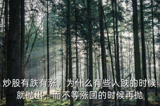 炒股有跌有漲，為什么有些人跌的時候就拋出，而不等漲回的時候再拋