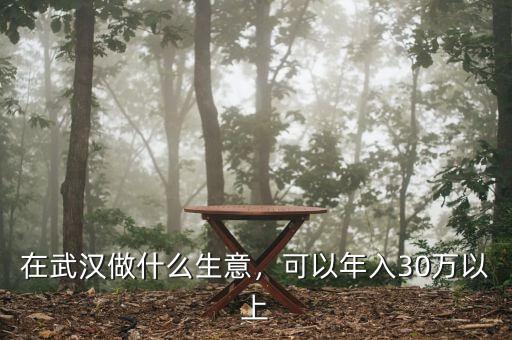 在武漢做什么生意，可以年入30萬以上
