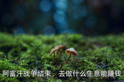 阿富汗戰(zhàn)爭(zhēng)結(jié)束，去做什么生意能賺錢