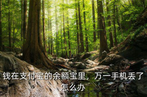 錢在支付寶的余額寶里，萬一手機(jī)丟了怎么辦