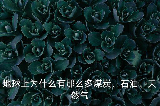 地球上為什么有那么多煤炭、石油、天然氣
