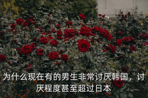為什么現(xiàn)在有的男生非常討厭韓國，討厭程度甚至超過日本