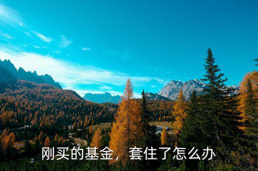 剛買的基金，套住了怎么辦