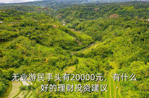 無業(yè)游民手頭有20000元，有什么好的理財(cái)投資建議