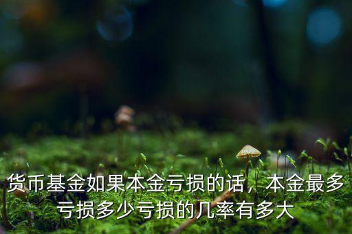 貨幣基金如果本金虧損的話，本金最多虧損多少虧損的幾率有多大