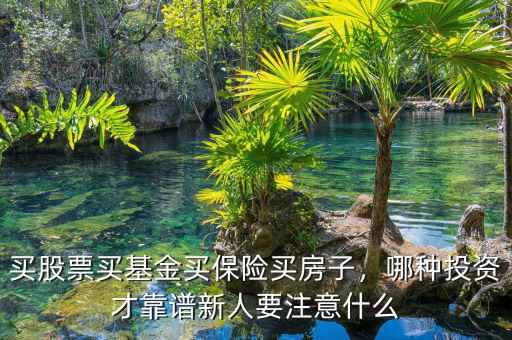 買股票買基金買保險買房子，哪種投資才靠譜新人要注意什么