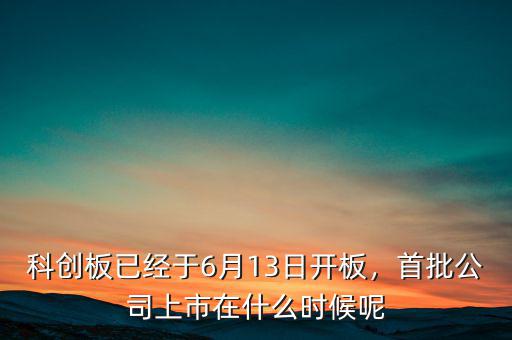 科創(chuàng)板已經(jīng)于6月13日開板，首批公司上市在什么時候呢