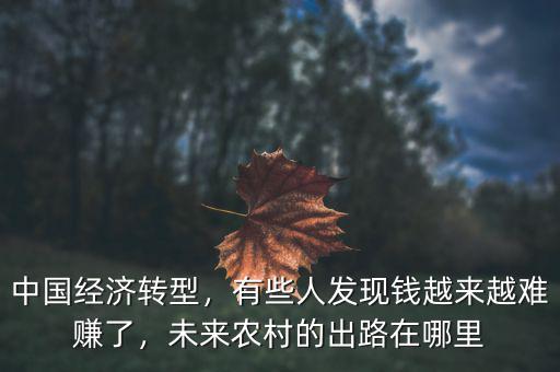 中國經(jīng)濟轉(zhuǎn)型，有些人發(fā)現(xiàn)錢越來越難賺了，未來農(nóng)村的出路在哪里