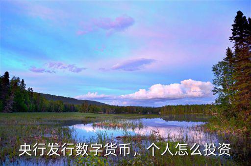 央行發(fā)行數(shù)字貨幣，個人怎么投資