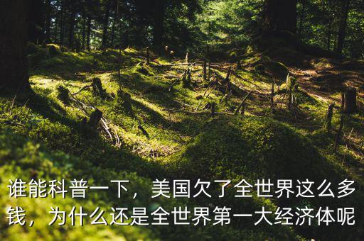 誰能科普一下，美國欠了全世界這么多錢，為什么還是全世界第一大經(jīng)濟體呢