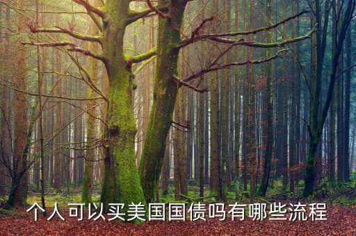 個(gè)人可以買美國(guó)國(guó)債嗎有哪些流程
