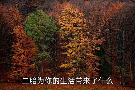 二胎政策為中國(guó)到底帶來(lái)了什么,二胎為你的生活帶來(lái)了什么